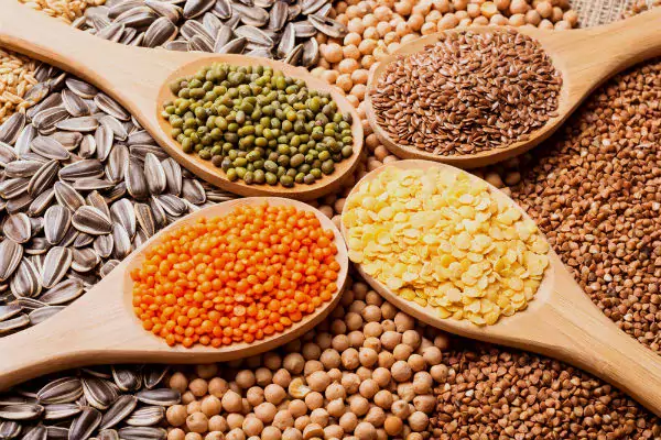 เมล็ดพันธุ์พืช