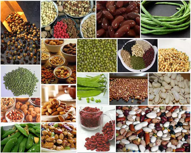 kaset24 เมล็ดพันธุ์พืช